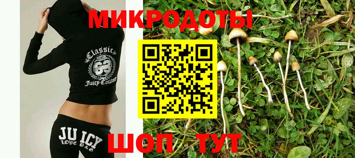 Псилоцибиновые грибы Psilocybe  Псилоцибиновые грибы Psilocybe  Белогорск  Вход с VPN 
